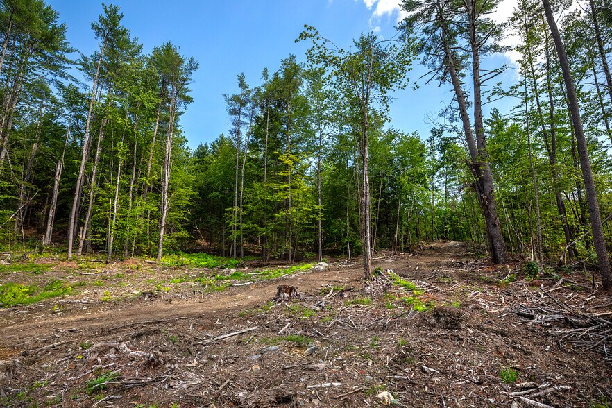 More Photos Of 40 E Putney Brook Rd, Putney Land For Sale