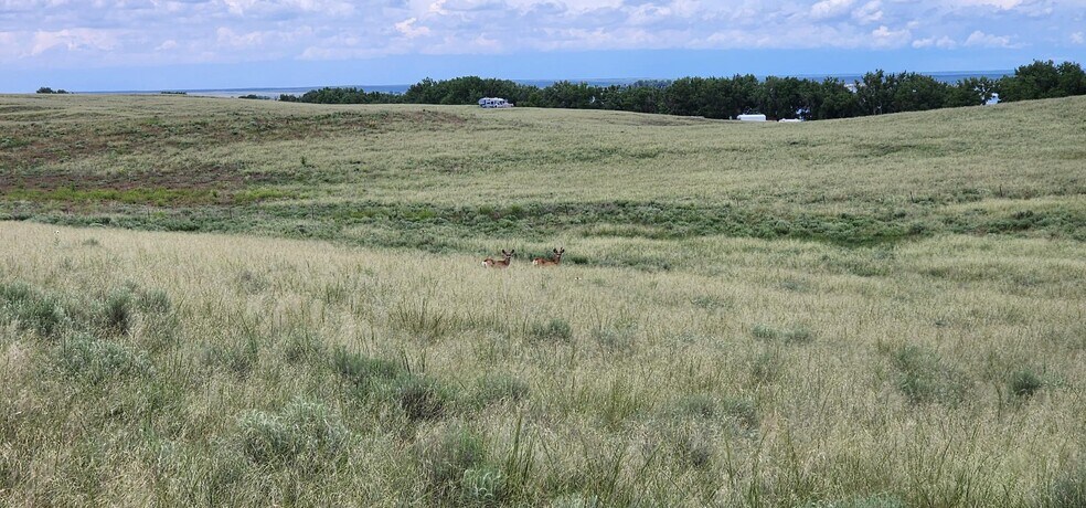 More Photos Of Empire Reservoir, Wiggins Land For Sale