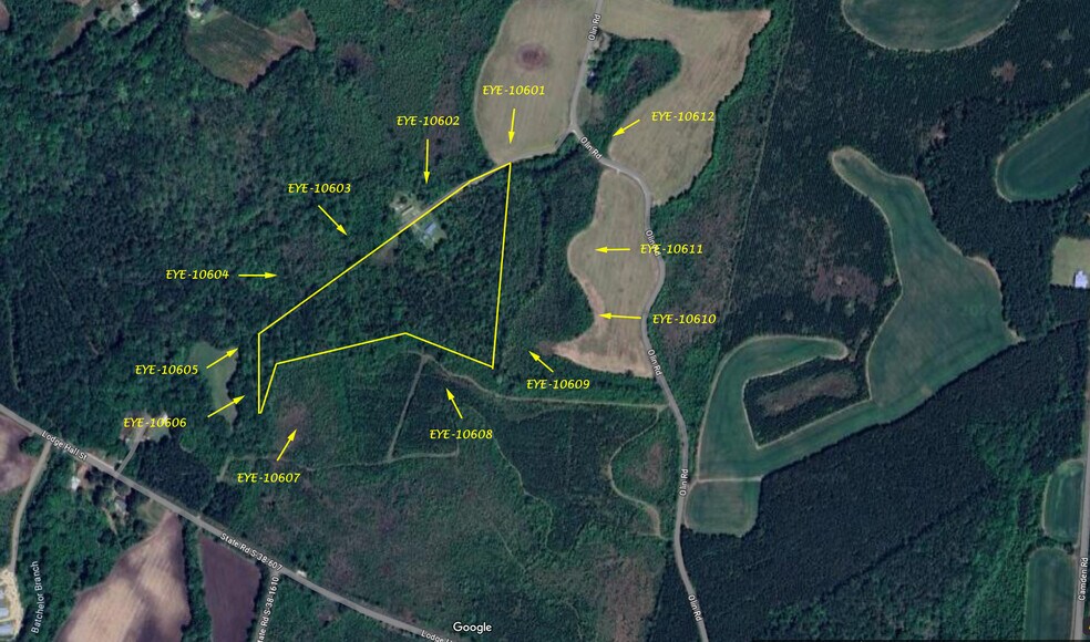 More Photos Of 0 Half Acre Ct, Vance Land For Sale