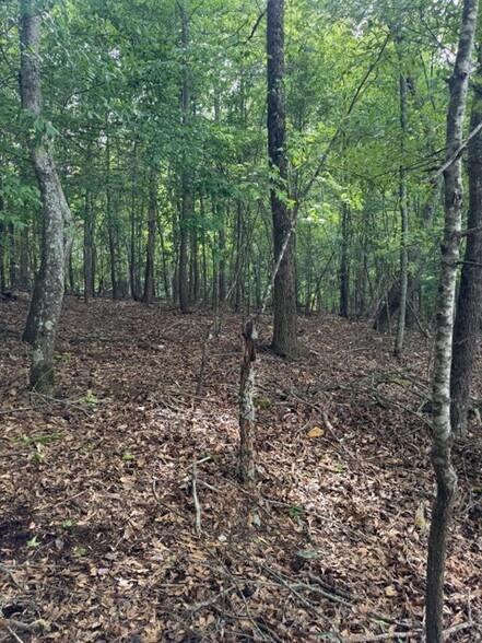 More Photos Of 357 Linwood dr, Gainesville Land For Sale