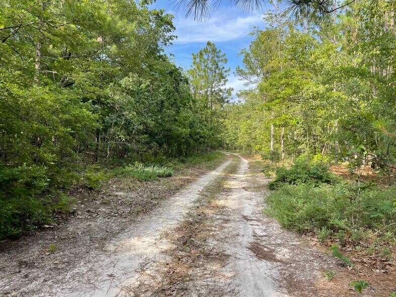 More Photos Of 229 Colbert Bridge Road, Windsor Land For Sale