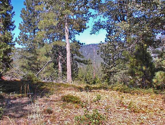 More Photos Of Highway 180 Hwy 180, Miramonte Land For Sale