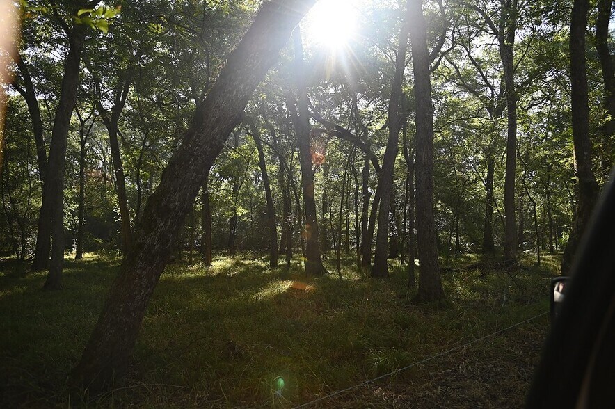 More Photos Of Jozwiak Ln, Hempstead Land For Sale