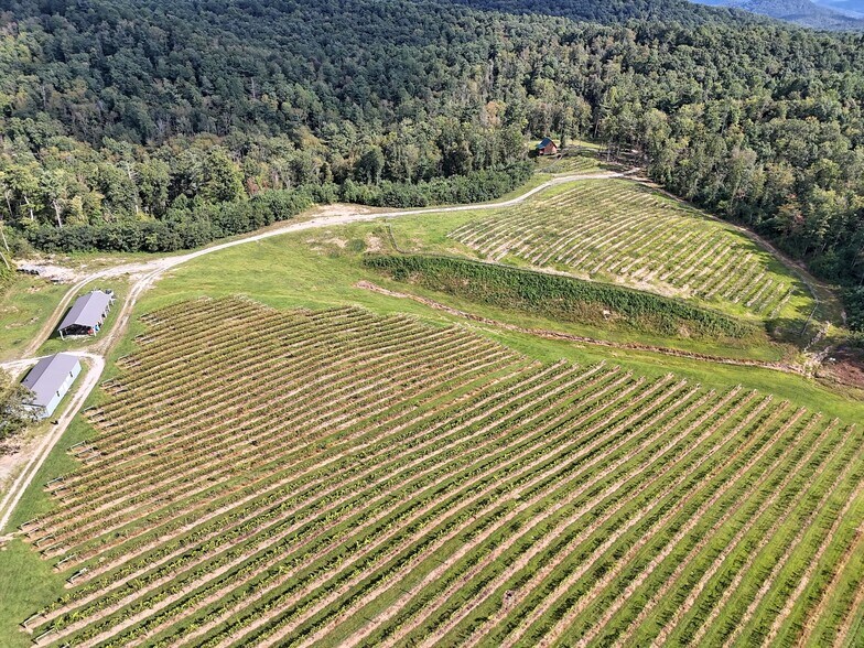 More Photos Of 781 Payne dr, Zirconia Land For Sale