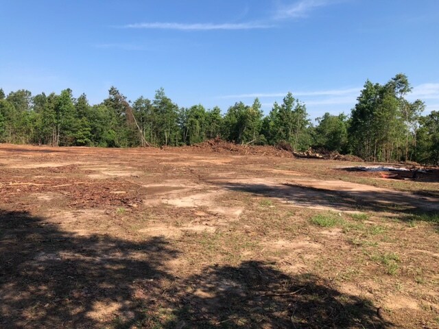 More Photos Of Hwy 157, Plain Dealing Land For Sale