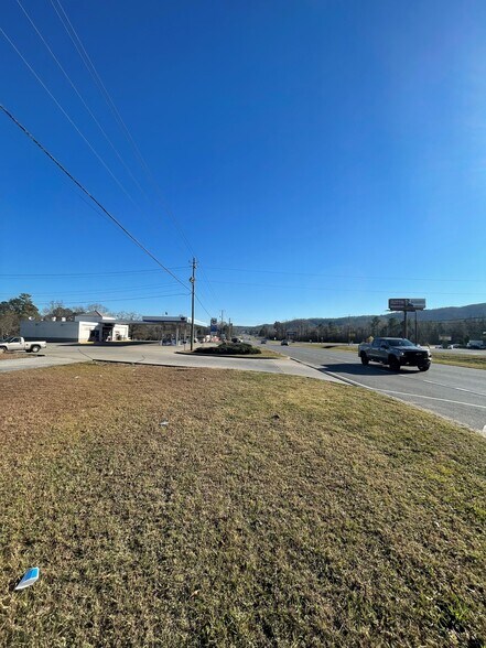 More Photos Of 37105 US Hwy 280, Sylacauga Land For Sale