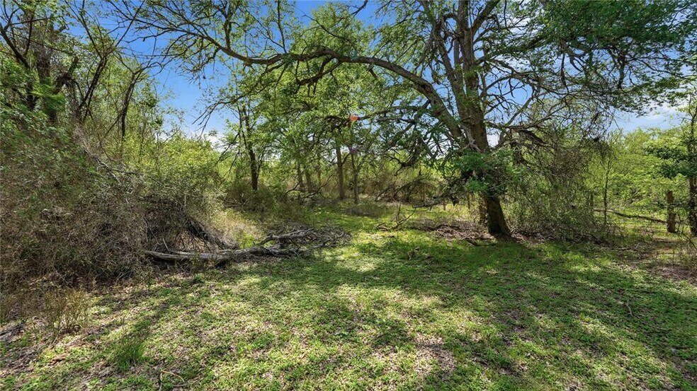 More Photos Of TBD Reids Bend rd, Bastrop Land For Sale