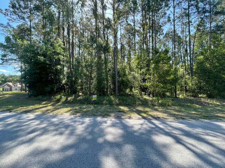 More Photos Of 31004 Secretariat Trl, Leesburg Land For Sale