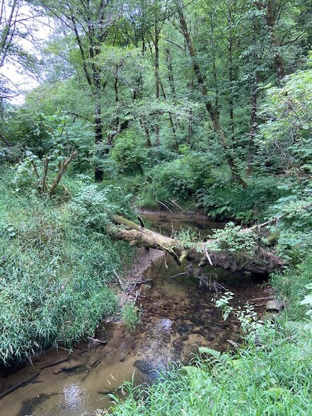 More Photos Of TL 203 Beaver Creek, Seal Rock Land For Sale