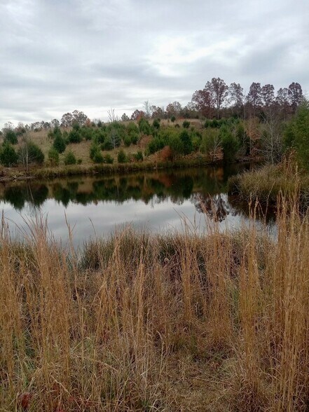 More Photos Of 1486 Martin Road, Ware Shoals Land For Sale