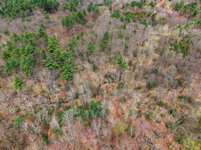 More Photos Of 0 Dry Hill Road, Montague Land For Sale