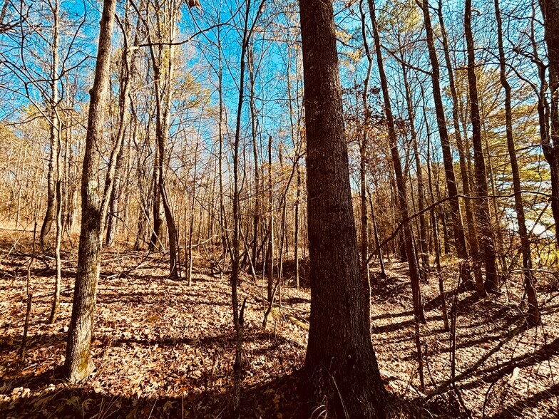 More Photos Of MS Highway 12, Durant Land For Sale