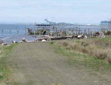 More Photos Of 815 8th St, Hoquiam Land For Sale