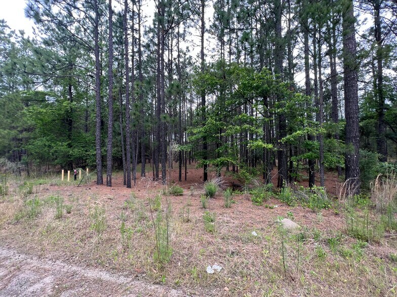 More Photos Of Lee Paving -1, Aberdeen Land For Sale