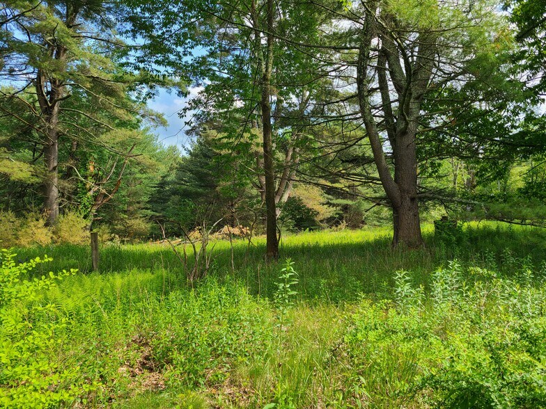 More Photos Of 1195 State Route 17B, Bethel Land For Sale