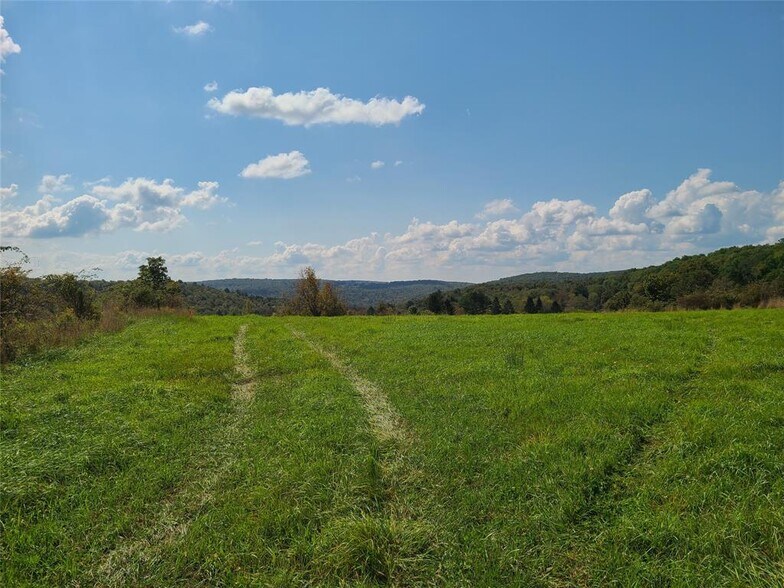 More Photos Of 356 Gabel Rd, Callicoon Land For Sale