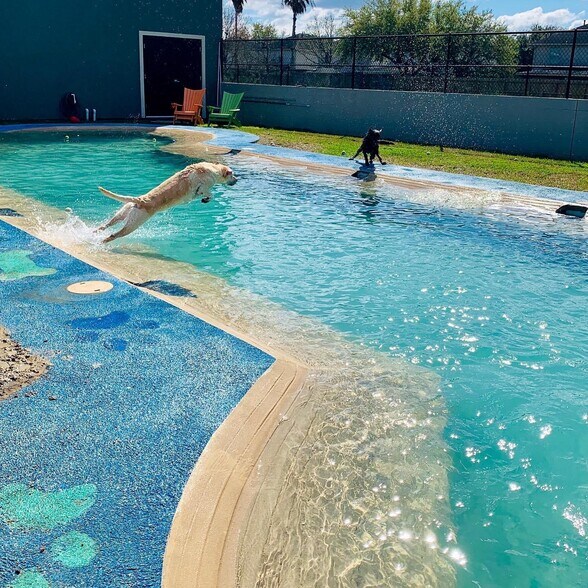 More Photos Of 21725 Clay Rd, Katy Veterinarian Kennel For Sale