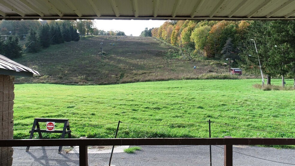 More Photos Of 1135 Toggenburg Rd, Fabius Land For Sale
