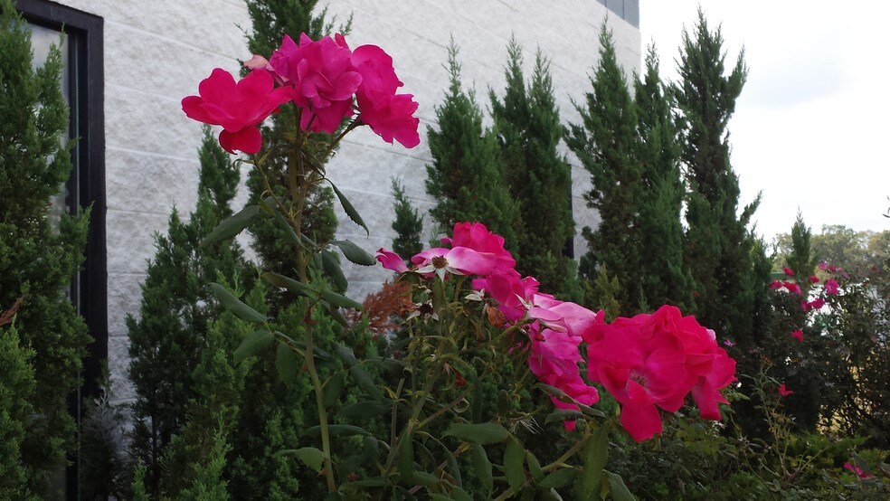 More Photos Of 11441 Robertson Dr, Manassas Light Distribution For Lease