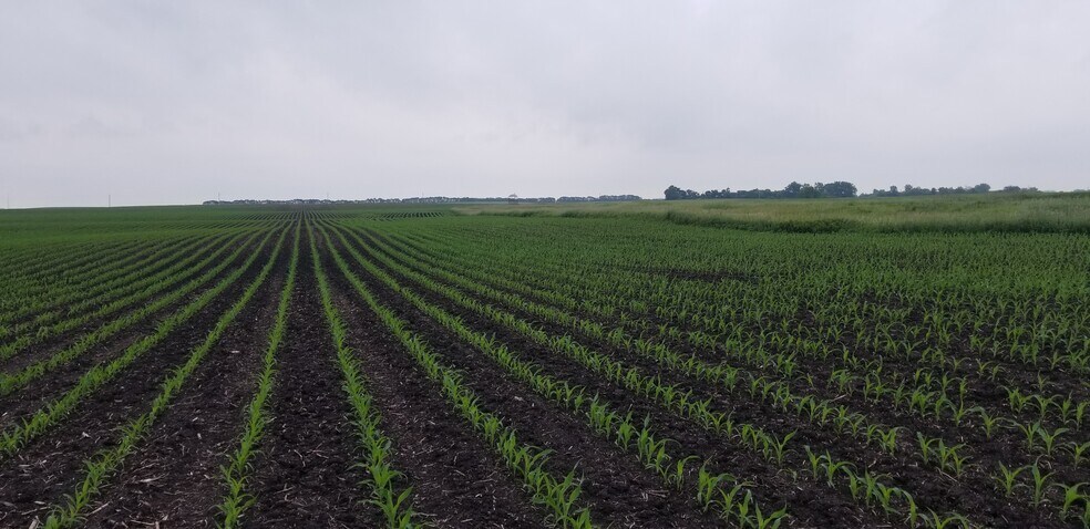 More Photos Of 0 330th Ave 0 330th Ave, Westbrook Land For Sale