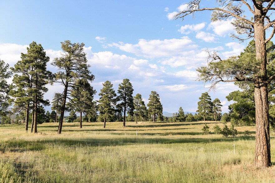More Photos Of Highway 160 Land (4 way lighted intersections), Pagosa Springs Land For Sale