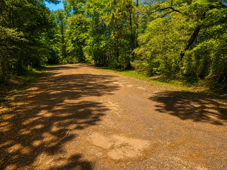 More Photos Of 9102 Blue Lake dr, Plantersville Land For Sale
