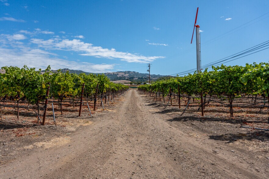 More Photos Of 3340 Lichau Rd, Penngrove Land For Sale