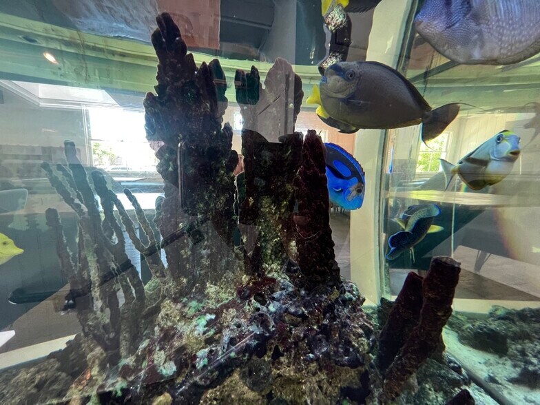 More Photos Of 145 1st St, Los Altos Restaurant For Lease