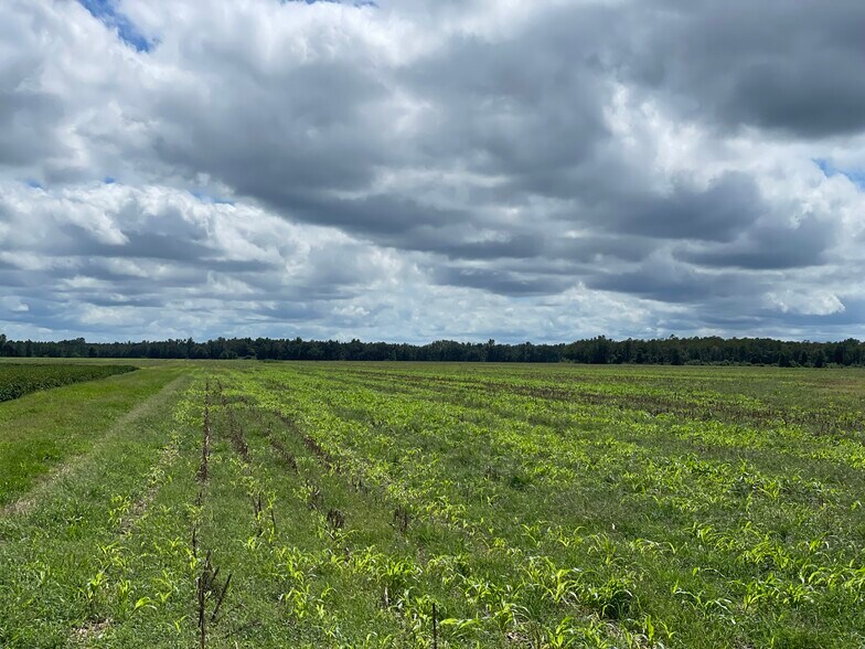 More Photos Of 5700 Pine Forest Rd, Walnut Hill Land For Sale