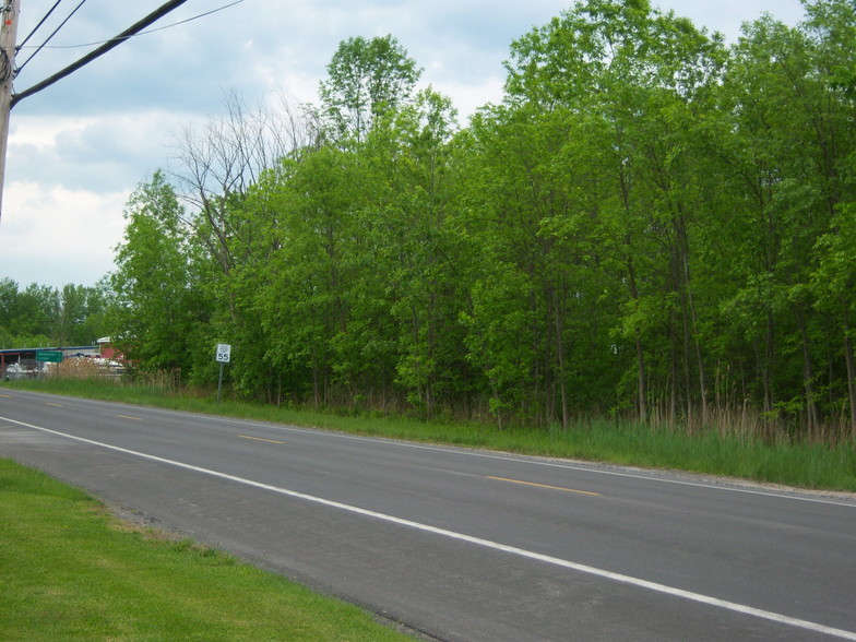 Primary Photo Of 1849 Highway 31, Chittenango Land For Sale