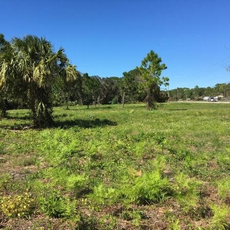 More Photos Of 3750 S Ridgewood Ave, Edgewater Land For Sale