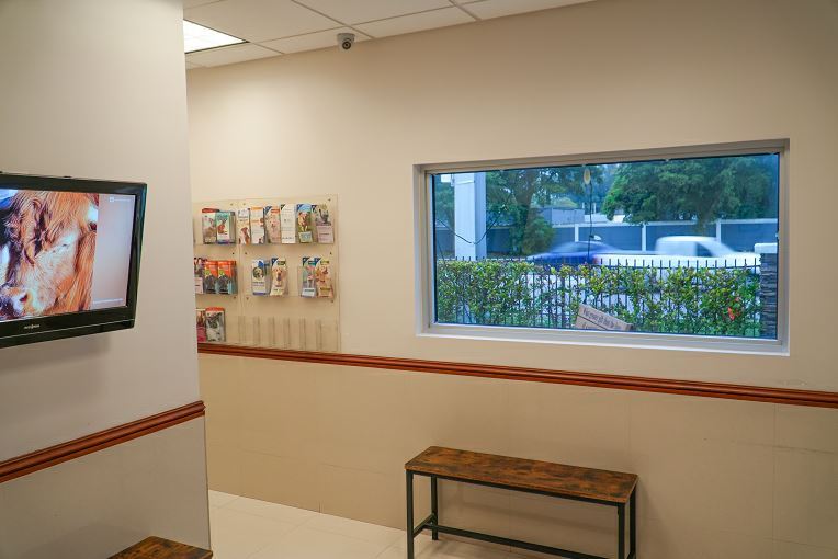 More Photos Of 9400 NW 58th St, Miami Veterinarian Kennel For Lease