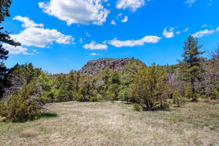 More Photos Of 00 Ponderosa Dr, Flagstaff Land For Sale