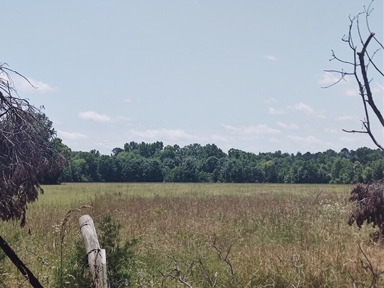 More Photos Of Ravenwood Drive And Bell Road, Selma Land For Sale