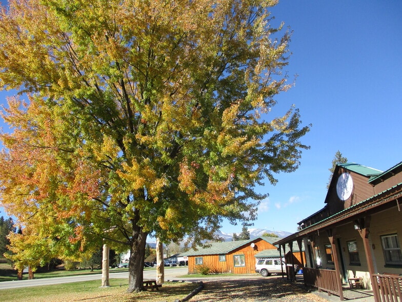 More Photos Of 308 S Main St, Darby Hotel For Sale