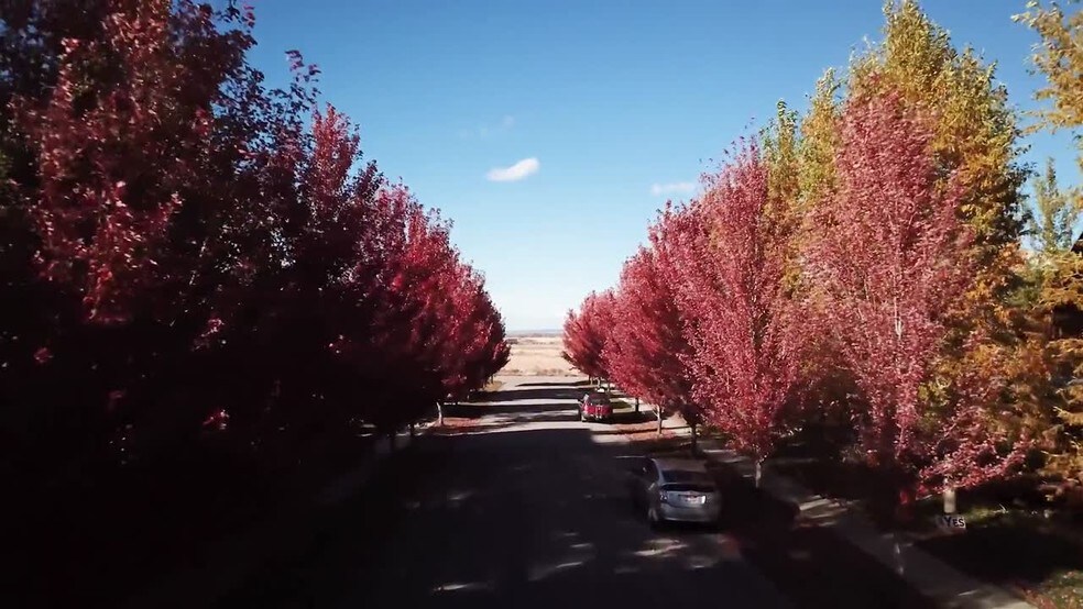 Primary Photo Of 9130 Village Way, Victor Land For Sale