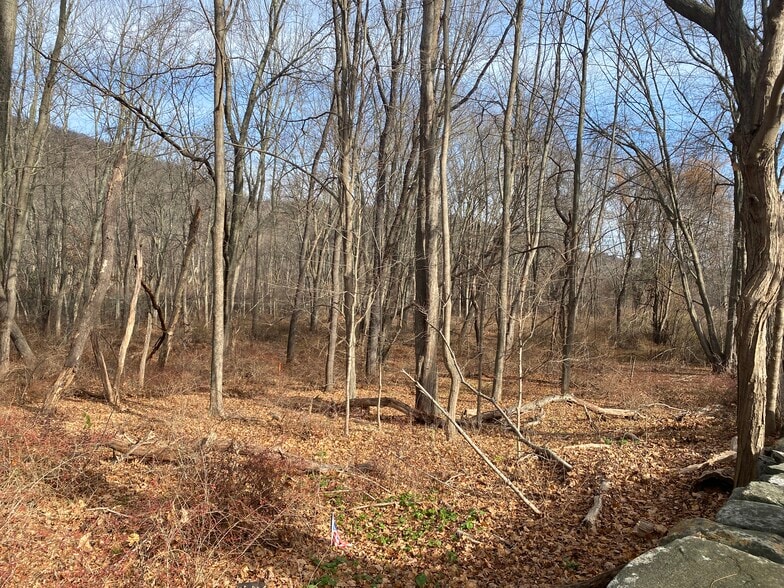 More Photos Of 3918 Danbury, Brewster Village Land For Sale