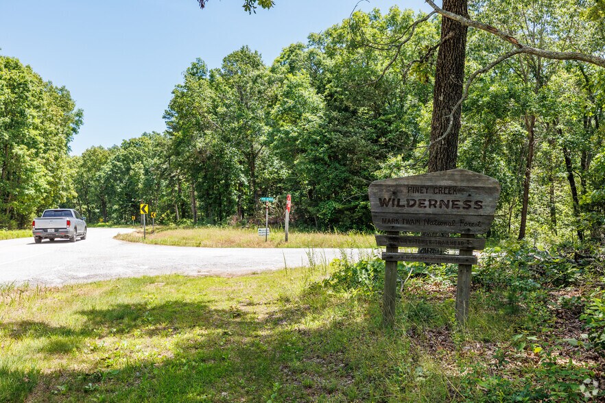More Photos Of Carnation Ln @ Hwy 76, Cape Fair Land For Sale
