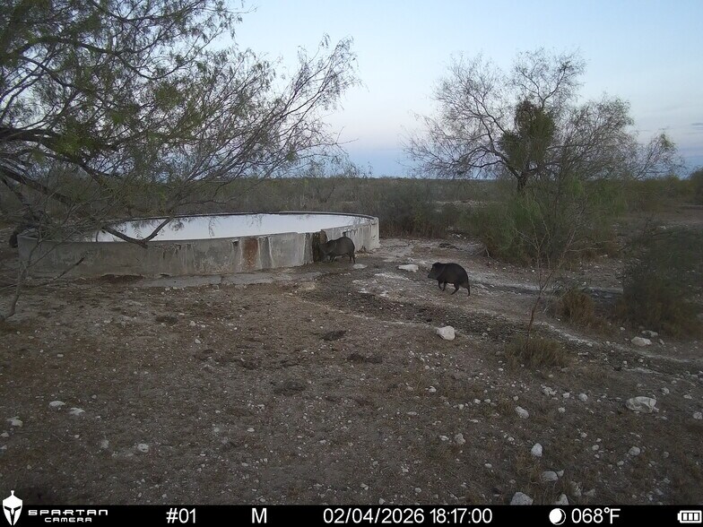 More Photos Of Las Brisas Road, Rio Grande City Land For Sale