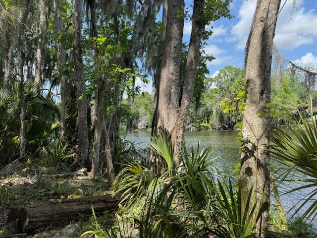 More Photos Of 2992 N Country Road 470, Lake Panasoffkee Land For Sale