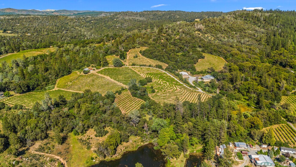 More Photos Of 8221 Stoney Creek Rd, Fair Play Winery Vineyard For Sale
