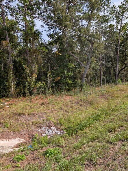 More Photos Of 9115 S Suncoast Blvd, Homosassa Land For Sale