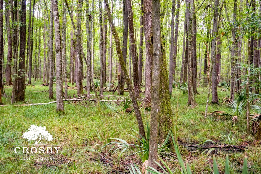 More Photos Of 3009 Lowcountry Drive, Ridgeland Land For Sale