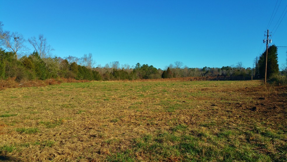 More Photos Of 42825 US 25, Vincent Land For Sale