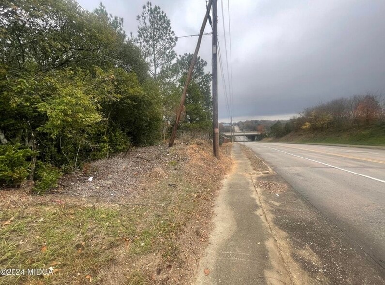 More Photos Of 1045-1049 Anthony Road, Macon-Bibb Land For Sale