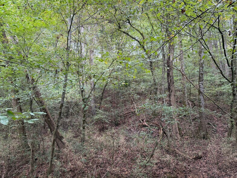 More Photos Of 0 County Road 60, Heflin Land For Sale