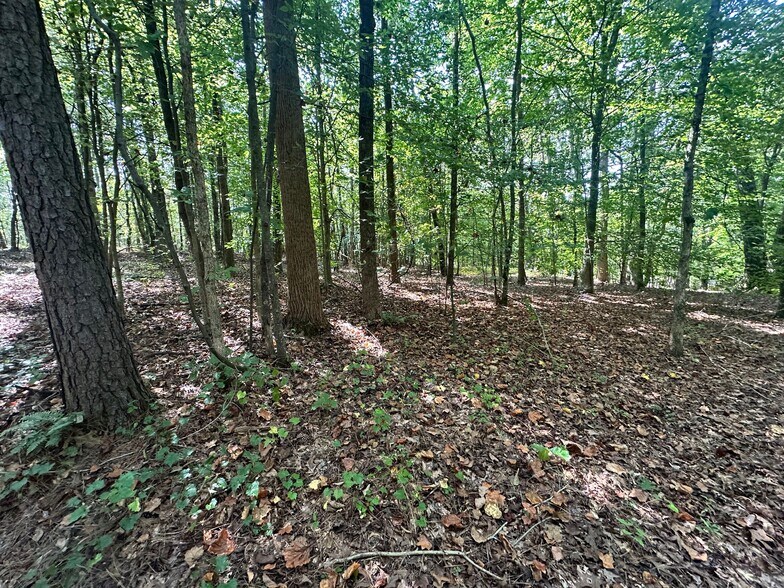 More Photos Of 7330 Frix Rd, Cumming Land For Sale