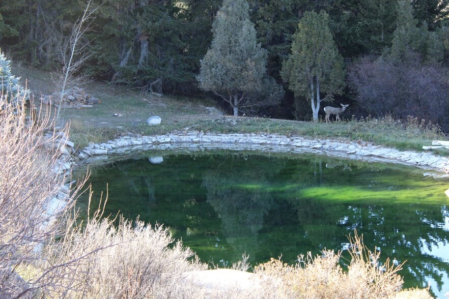 More Photos Of 65 Bald Mountain Rd, Dubois Specialty For Sale