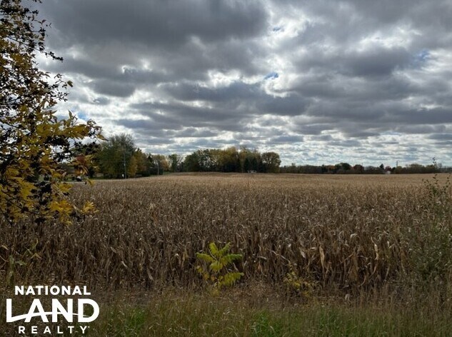 More Photos Of 820 Johnson Ave SW, Cokato Land For Sale