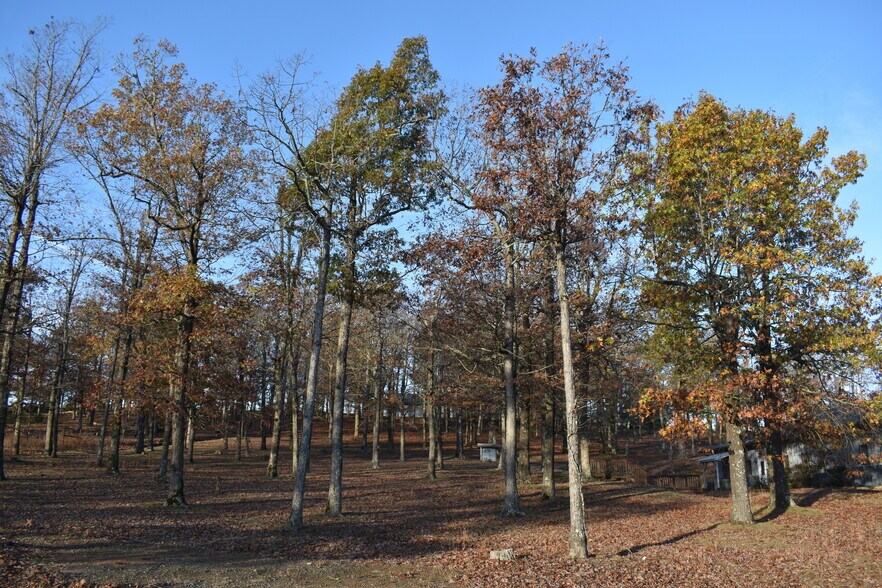 More Photos Of 158 Ragon Road, Tilly Office For Sale